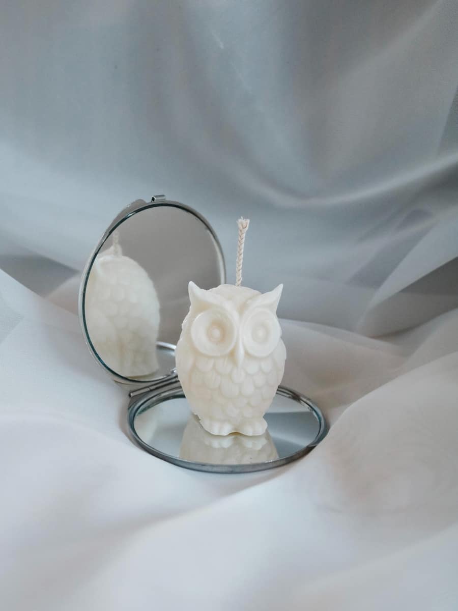 Owl - imagine 3